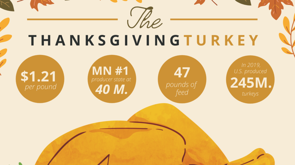 Thanksgiving stats